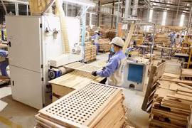Xuất khẩu gỗ đạt hơn 1,5 tỷ USD/ tháng