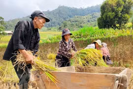 Độc đáo bản sắc văn hóa dân tộc Cờ Lao