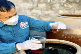 Nhiều làng nghề nước mắm truyền thống tất bật sản xuất vụ Tết