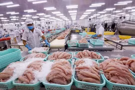 Hiểu sâu hơn để thích ứng, tận dụng tốt hơn nữa cơ hội từ CPTPP