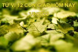 Tử vi 3/6/2022 hôm nay, thứ 6 ngày 5/5 âm lịch của 12 con giáp