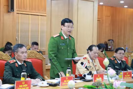 Đại án Việt Á: Đã khởi tố 29 vụ án và 102 bị can