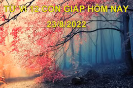 Tử vi hôm nay 23/8/2022, thứ 3 ngày 26/7 âm lịch của 12 con giáp