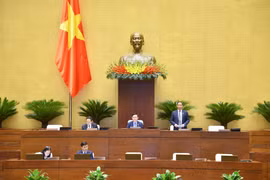 Hoàn thiện thể chế về công tác phòng, chống bạo lực gia đình