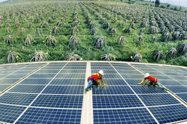Thúc đẩy chuyển đổi năng lượng xanh, năng lượng tái tạo cho Việt Nam