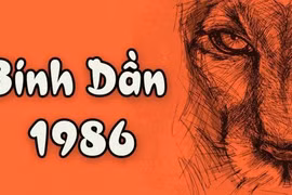 Phong thuỷ bếp tuổi Bính Dần 1998 mang lại sức khoẻ, tài lộc