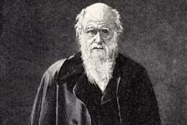 Bản thảo có chữ ký của Darwin được bán đấu giá gần 900.000 USD