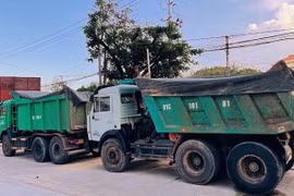 Gia Lai: “Cát tặc” bị phạt 175 triệu đồng và bị thu hơn 1.000m3 cát