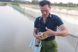Độc đáo cách “thu phục” loài bò ngang bằng cốc nhựa
