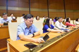 Quốc hội cho phép chỉ định thầu các gói thầu tư vấn để lập các quy hoạch cấp quốc gia