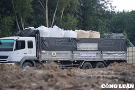 Bình Dương khẳng định không có bao che, chia chát trong vụ chôn lén rác thải lớn nhất tỉnh