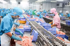 Xuất khẩu cá tra sang Canada tăng gần 70%
