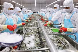 Xuất khẩu tôm nuôi tăng trưởng mạnh