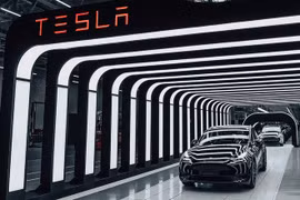 Tesla Model Y đạt mốc 10.000 xe được sản xuất tại Mỹ