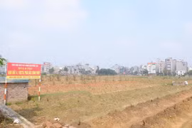 Đề xuất ưu tiên dân địa phương đấu giá đất trước
