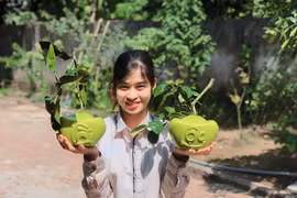 Nhiều nhà vườn cháy hàng loại bưởi Tài Lộc phục vụ Tết Nguyên đán 2023