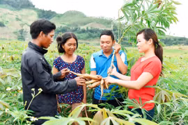 Tổ chức họp tháo gỡ vướng mắc trong triển khai các chương trình mục tiêu quốc gia