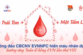 Đông đảo CBCNV EVNNPC hiến máu nhân đạo hưởng ứng Tuần lễ hồng EVN lần thứ VIII