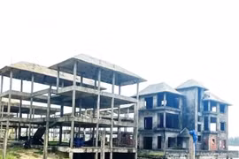 Thừa Thiên - Huế: Kiểm điểm trách nhiệm các đơn vị, cá nhân liên quan đến vi phạm tại các dự án