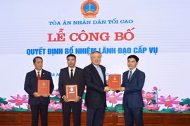 Nhà báo Trần Đức Vinh giữ chức vụ Tổng biên tập Báo Công lý