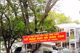Nhiều gói thầu mua sắm trang thiết bị tại Sở GD&ĐT Vĩnh Long bị phản ánh giá cao "bất thường"?