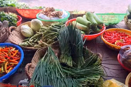 Giá hành lá tại các tỉnh Nghệ An, Hà Tĩnh tăng cao “kỷ lục”