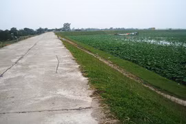 Trình Thủ tướng xem xét dự án nâng cấp đê sông Hồng qua huyện Mê Linh