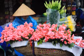 Những hình ảnh đẹp trong ngày Phụ nữ Việt Nam 20/10