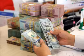 Một năm biến động tỷ giá USD/VND