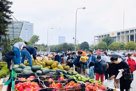 Tháo gỡ khó khăn thúc đẩy tiêu thụ thanh long và nông, thủy sản sang thị trường Trung Quốc