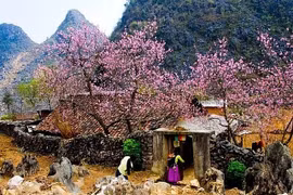 Cao nguyên đá Đồng Văn - điểm du lịch 'đáng đi' trong ngày xuân Nhâm Dần