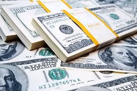 Tỷ giá ngoại tệ hôm nay 10/1: Đồng đô la Mỹ đi ngang