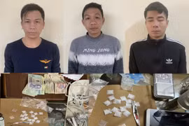 Bắt nhóm đối tượng buôn ma tuý, che giấu tinh vi
