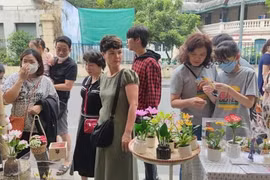Nghề làm hoa từ đất sét thu bộn đơn đặt hàng dịp cận Tết