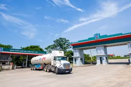 Xăng dầu Hải Linh: Bị thanh tra, nợ gấp 5 lần vốn, khả năng trả nợ yếu
