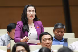 'Sửa nhà trong ngõ Thanh tra xây dựng cũng biết, cao ốc vi phạm ngay mặt đường lại không phát hiện ra'