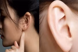 Những tướng tai đẹp giàu sang, phú quý