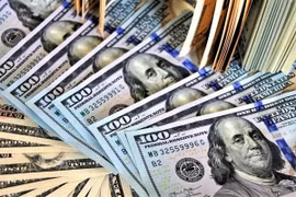 Tỷ giá ngoại tệ hôm nay 2/1: Đồng USD được dự báo sẽ tiếp tục tăng