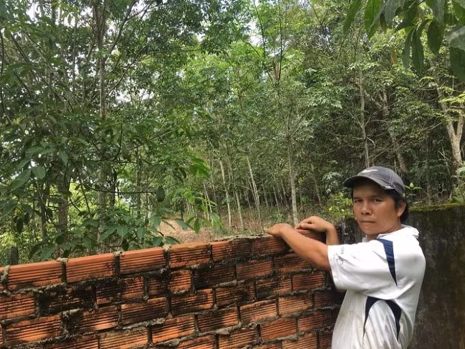 Án đã hủy nhưng nhiều năm qua đường vẫn chưa thông khiến các hộ dân vẫn phải đi lại bằng cách leo tường hoặc chênh vênh trên những cây tràm bắc ngang qua suối để ra vào nhà
