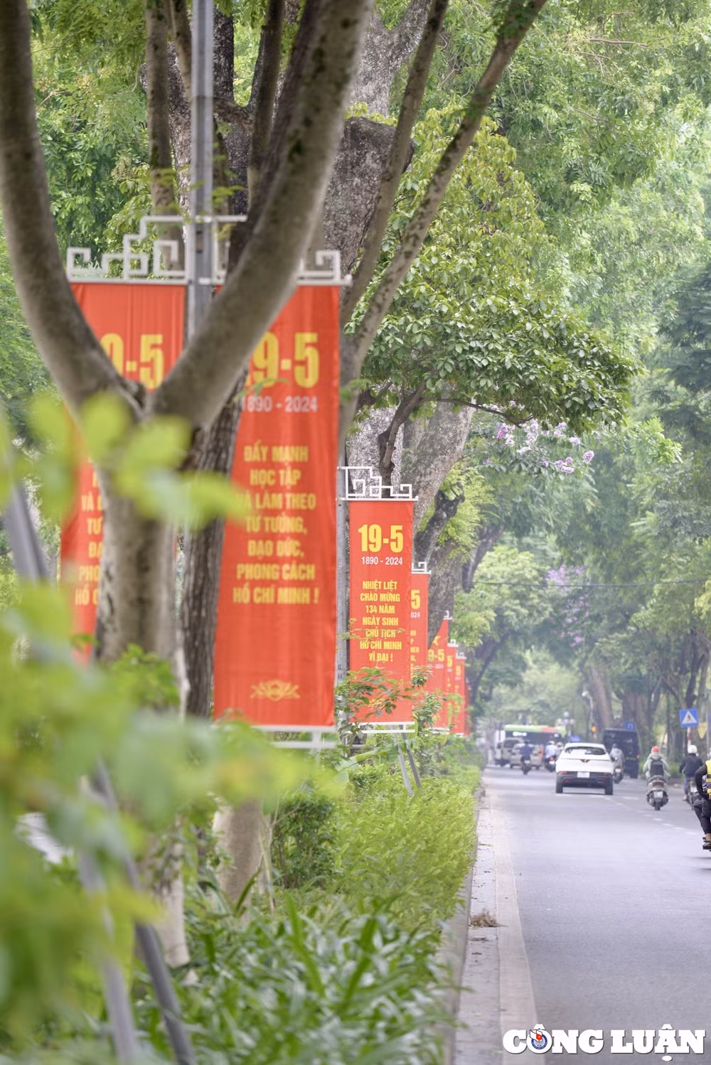 duong pho ha noi ruc ro co hoa khau hieu ky niem 134 nam ngay sinh chu tich ho chi minh hinh 9