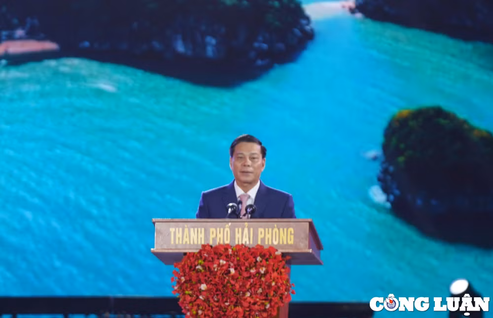 le hoi hoa phuong do hai phong 2024 lung linh dem hoi hai phong bung sang mien di san hinh 3