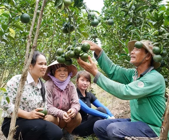 dao tao boi duong ho tro va thuc day qua trinh tri thuc hoa nong dan hinh 1