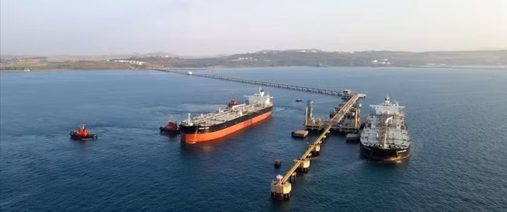 chau au dang gian tiep nhap khau cac san pham dau nga thong qua tho nhi ky hinh 1