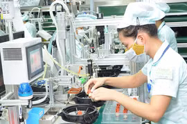 Giảm một nửa thời gian cấp Giấy chứng nhận doanh nghiệp công nghệ cao