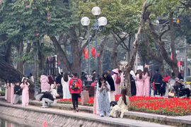Mùa Tết đến, thợ ảnh và dịch vụ cho thuê áo dài 'đắt khách'