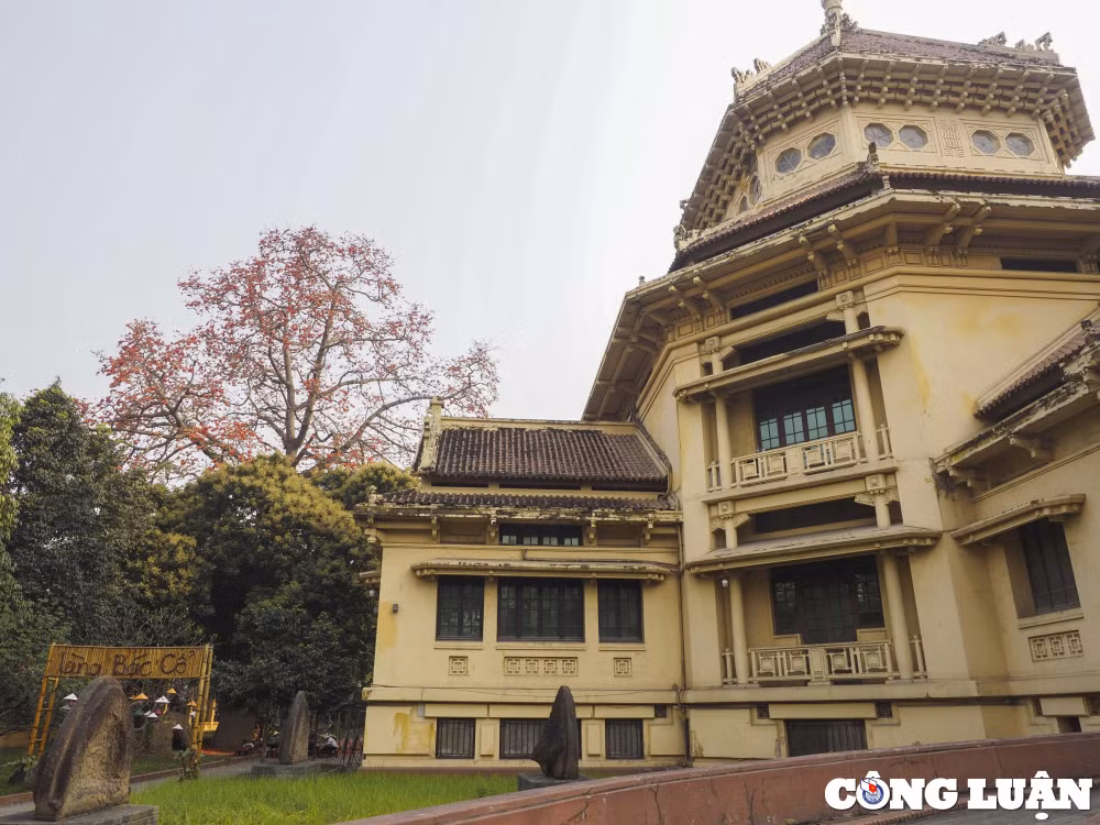 ha noi thang 3 mua hoa gao no ruc do hinh 1