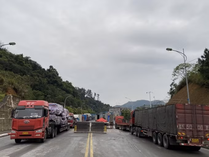 Kim ngạch xuất nhập khẩu năm 2021 có thể đạt 600 tỷ USD. Ảnh: Dương Lâm