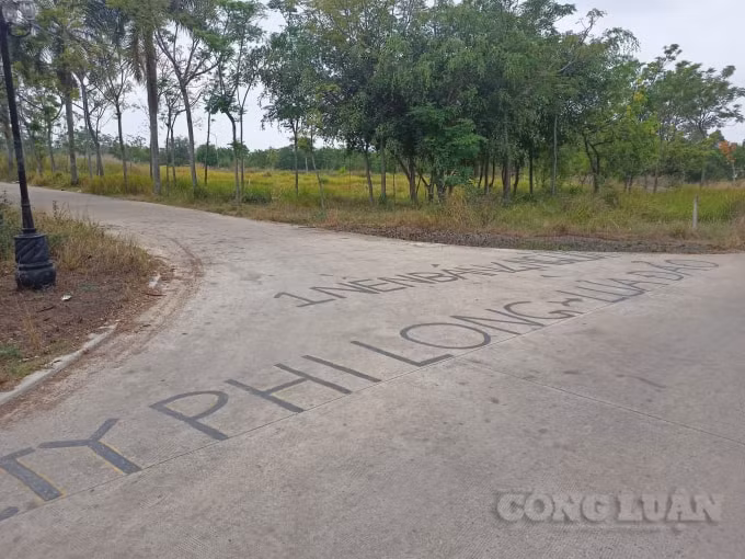 Công ty Phi Long bị người dân tố cáo lừa đảo trong thời gian qua