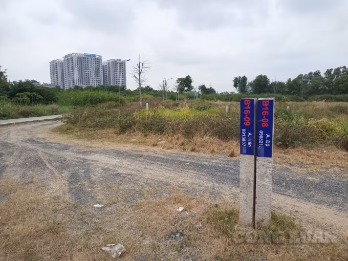 Nhiều người dân phải tự bỏ tiền đóng cọc và bảng tên tại các lô đất, nhằm tránh tranh chấp hoặc bị chủ đầu tư mang đi bán cho người khác