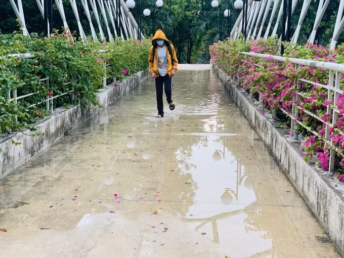 Nước đọng trên cầu bộ hành của công viên Gia Định
